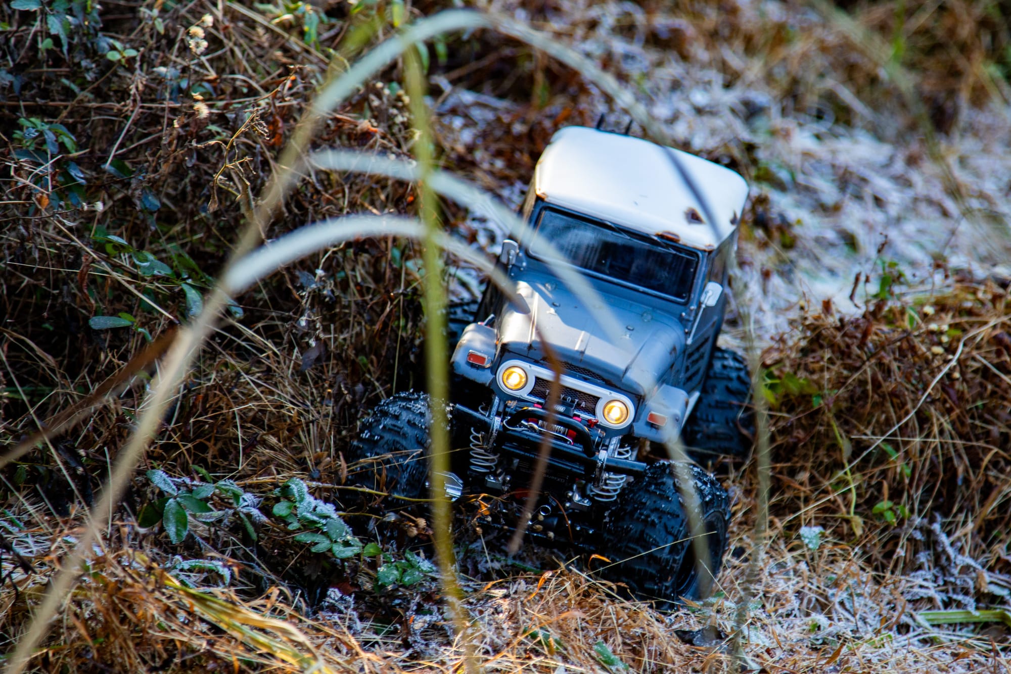 【タミヤ1/10RC】一緒に野山を歩きたいけどランクル300系と40系、どっちを選ぶ？【RC WALK】