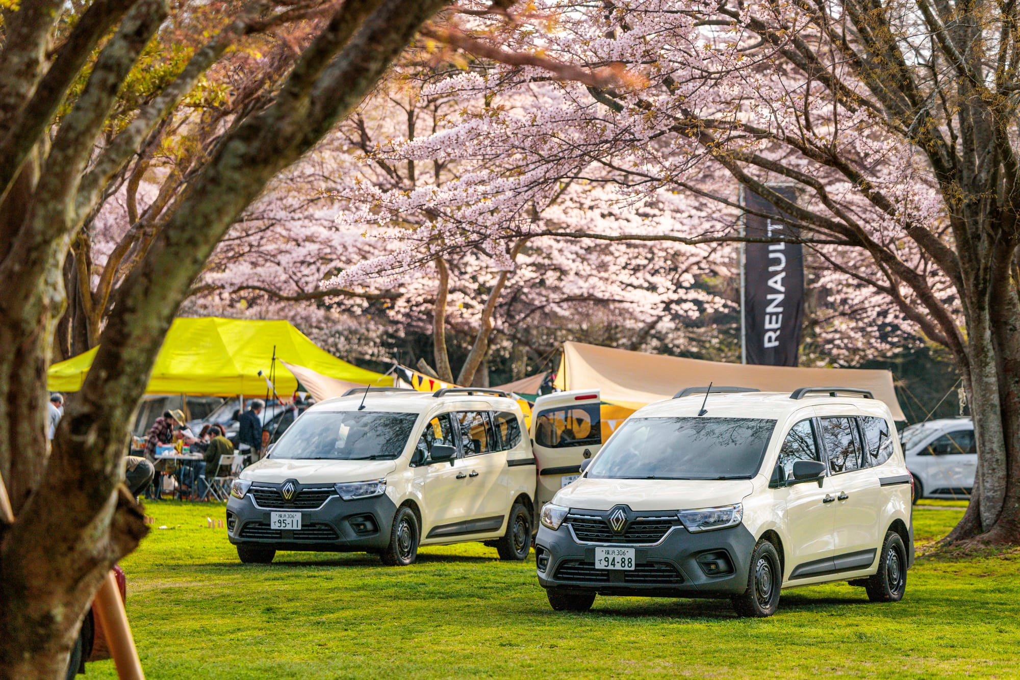 遊びの達人が大集合！ カングーSAKURAキャンプ2026で桜の開花とスレンチスタイルBBQを満喫